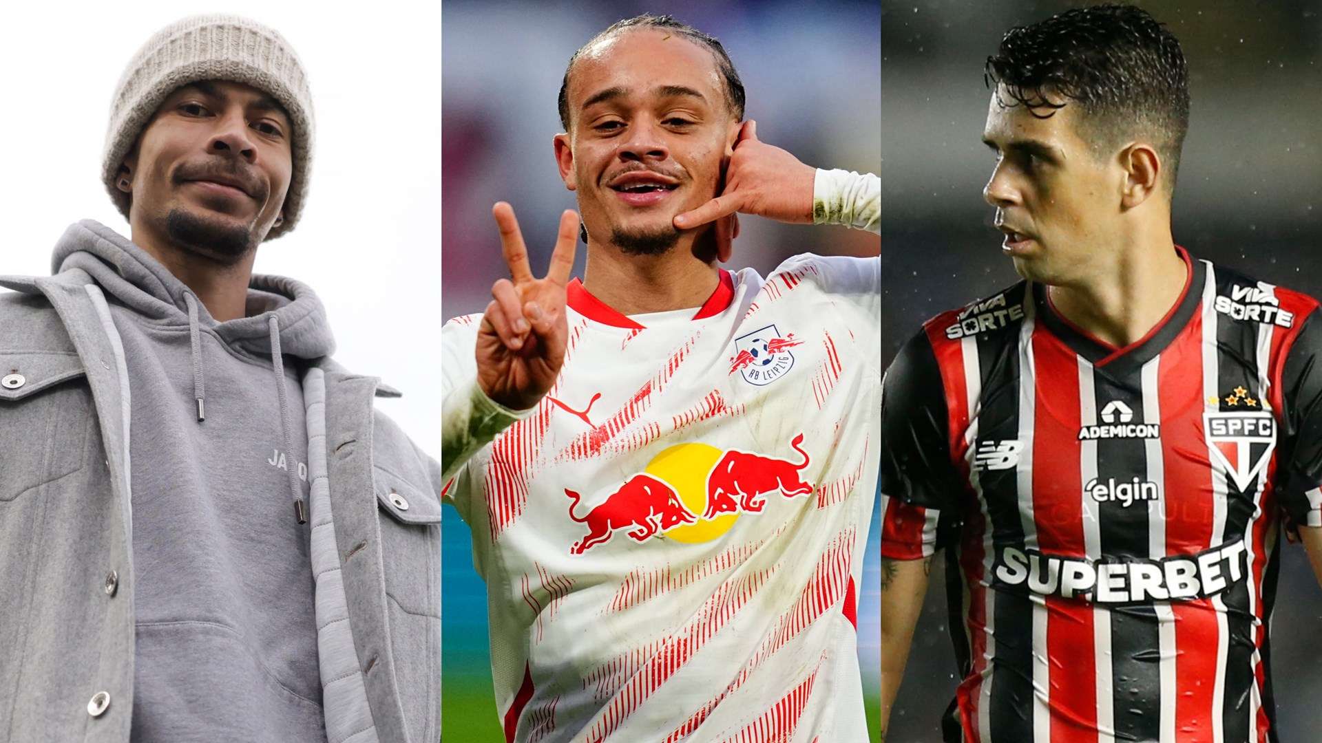 乡村女孩的 乡村女孩的