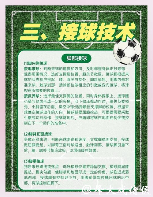 世界杯买球的法律风险与保障措施 世界杯买球的法律风险与保障措施